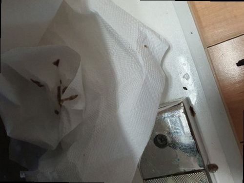 대전 중구 하수구막힘 대흥동 하수구막힘 싱크대 뚫어뻥 숨겨진 악취의 시작점을 찾다